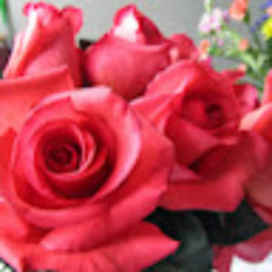 Meet your Posher, Albulena